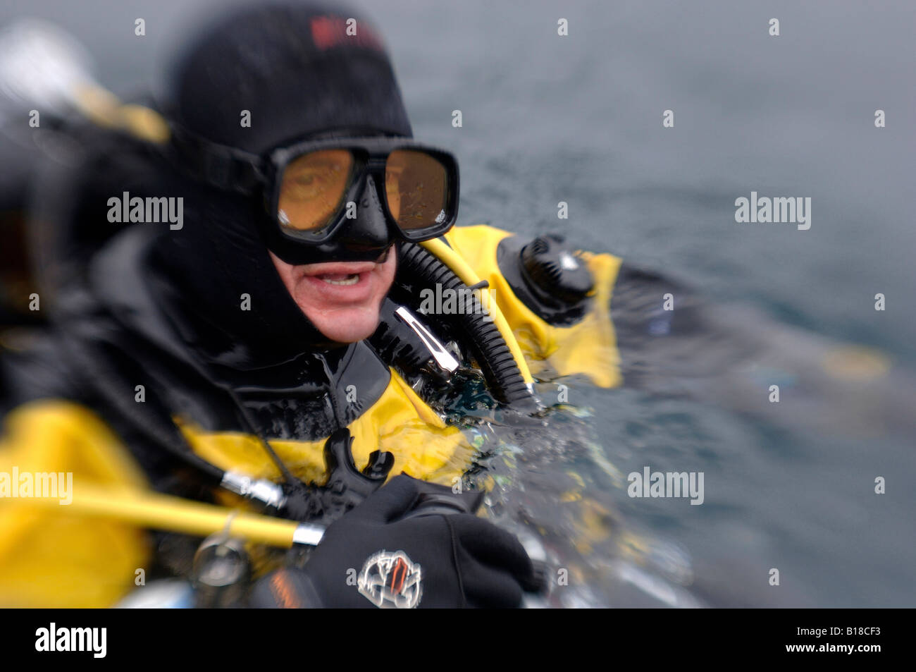 Dry suit diver on surface Stock Photo Alamy