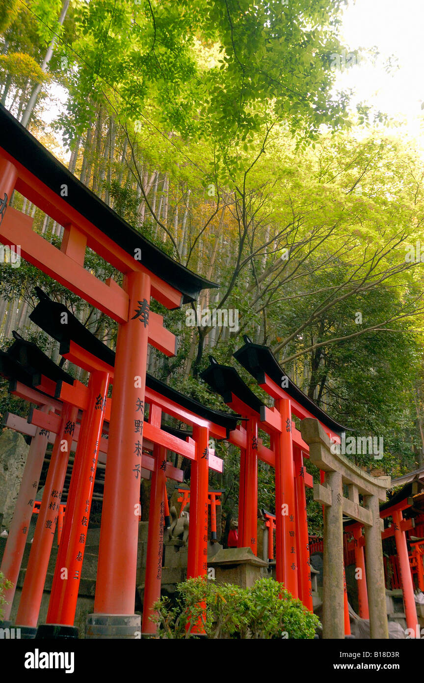 Torii gates Fushimi Inari Shrine Kyoto Japan Stock Photo - Alamy