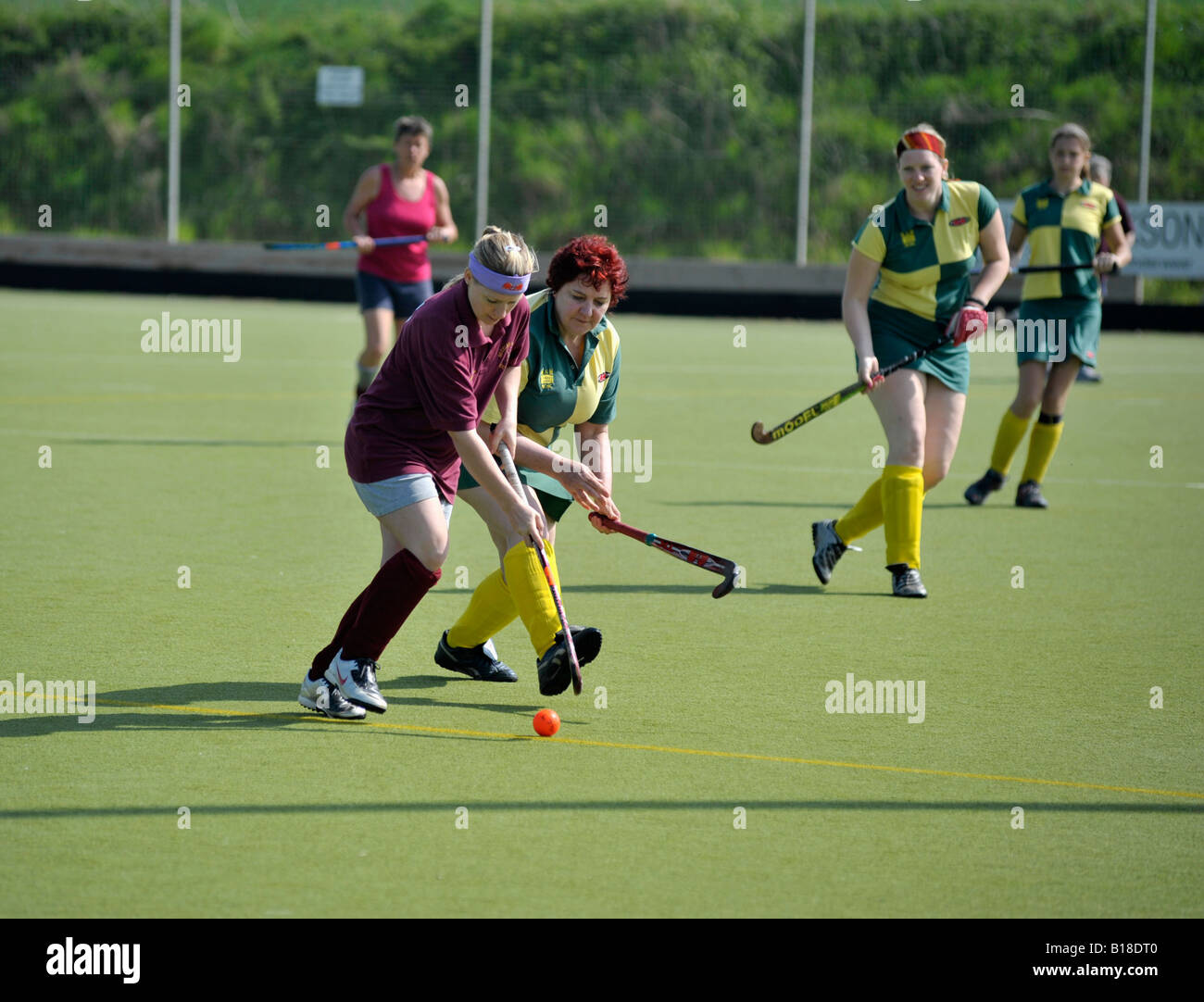 women tackling during game of field hockey Stock Photo Alamy
