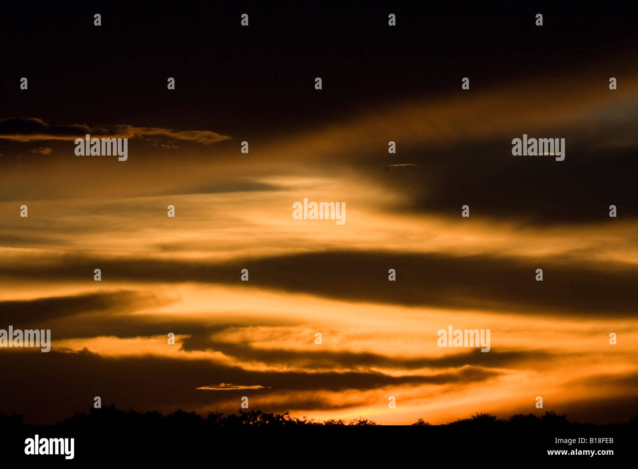 Stratus clouds in evening sun light Stock Photo Alamy