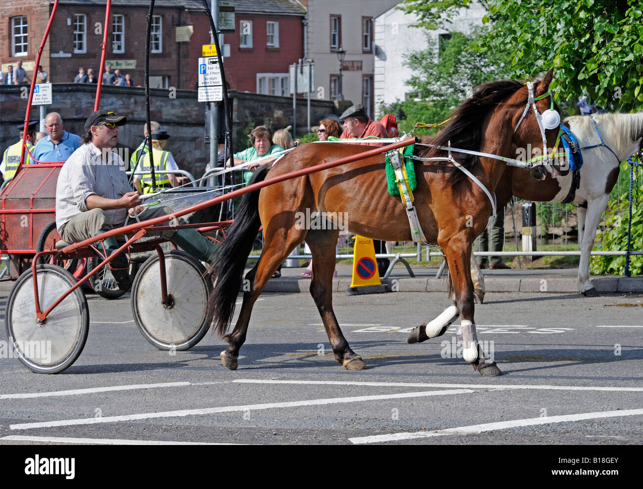Gypsy traveller with trotting horse and trap. Appleby Horse Fair. Appleby-in-Westmorland, Cumbria, England, United Kingdom. Stock Photo