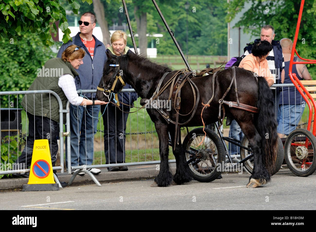 Pony and spectators at Appleby Horse Fair. Appleby-in-Westmorland, Cumbria, England, United Kingdom, Europe. Stock Photo
