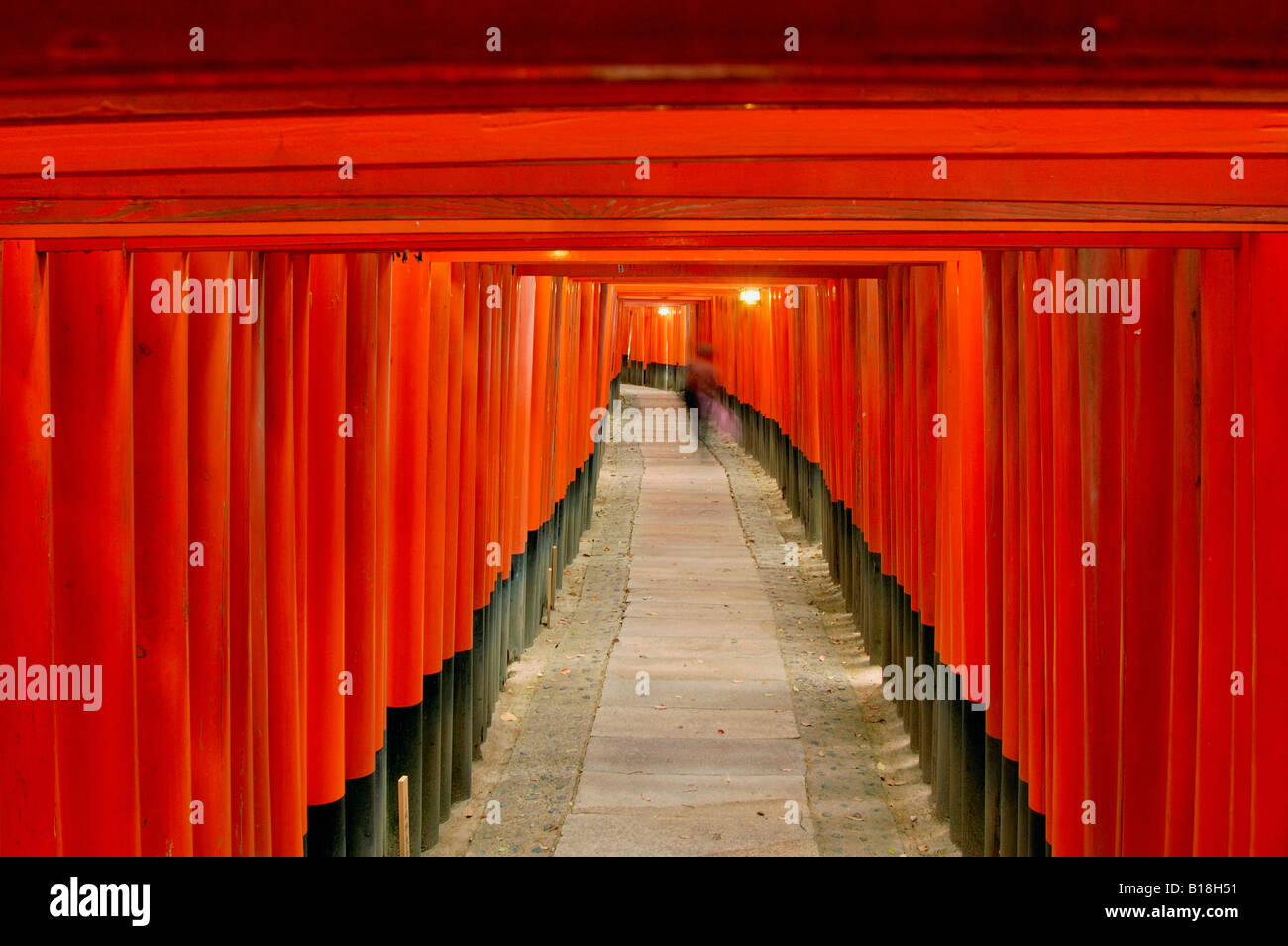 Torii gates Fushimi Inari Taisha Shrine Kyoto Honshu Japan Stock Photo