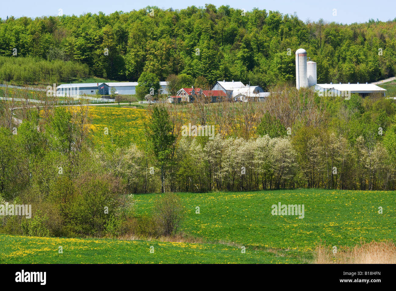 Farm, Roxton, Eastern Townships, Quebec, Canada Stock Photo Alamy