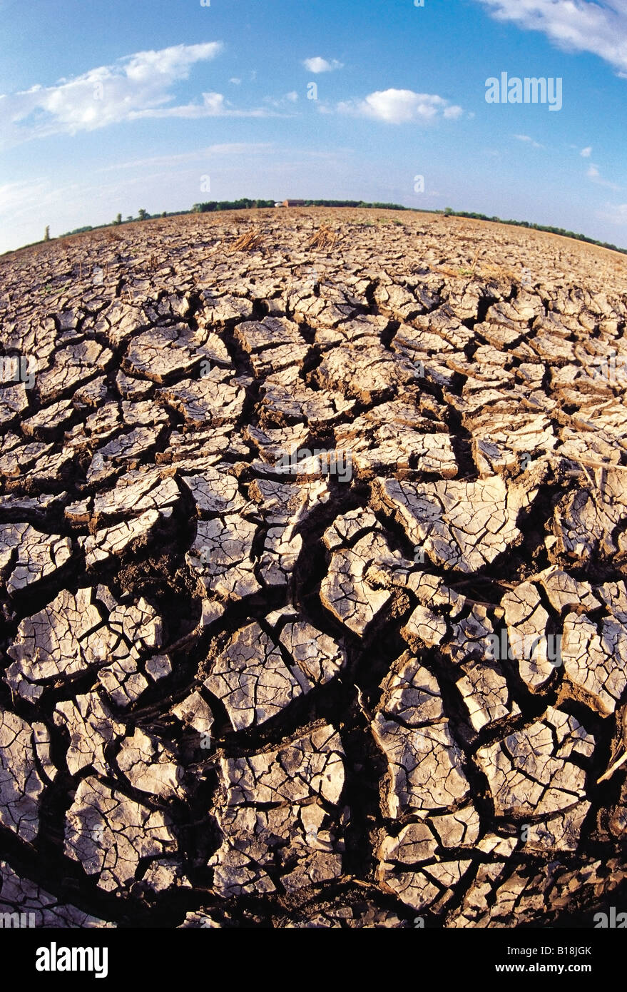 cracked earth, farmland in the Red River Valley, Manitoba, Canada Stock