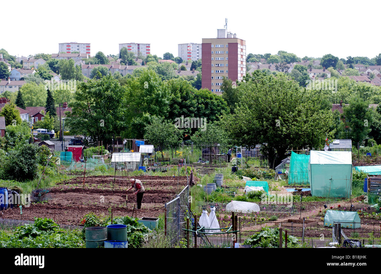 Allotment urban birmingham buildings hires stock photography and