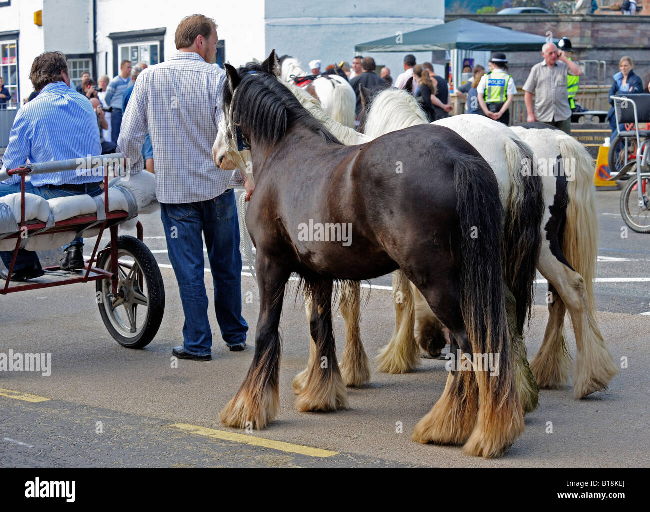 Gypsy travellers with horses at Appleby Horse Fair. Appleby-in-Westmorland, Cumbria, England, United Kingdom, Europe. Stock Photo