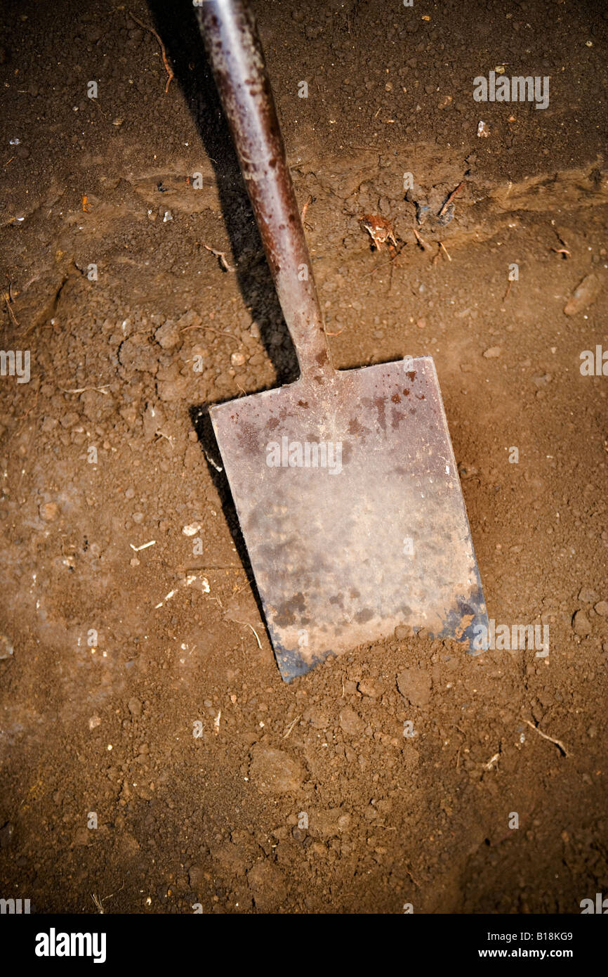 Garden spade in soil Stock Photo Alamy