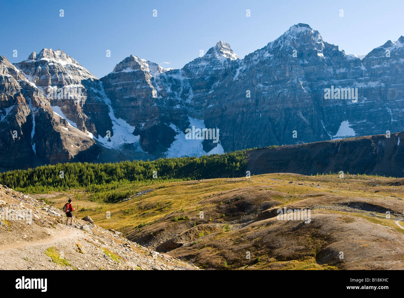A female hiker looks out over Larch Valley on the trail to Sentinel Pass near Moraine Lake, Banff National Park, Alberta, Canada Stock Photo
