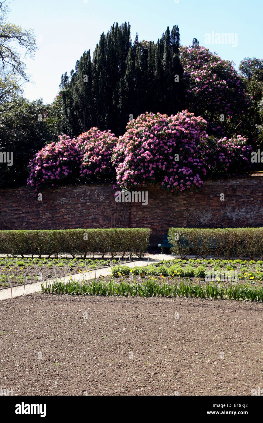 Victorian flower garden hires stock photography and images Alamy