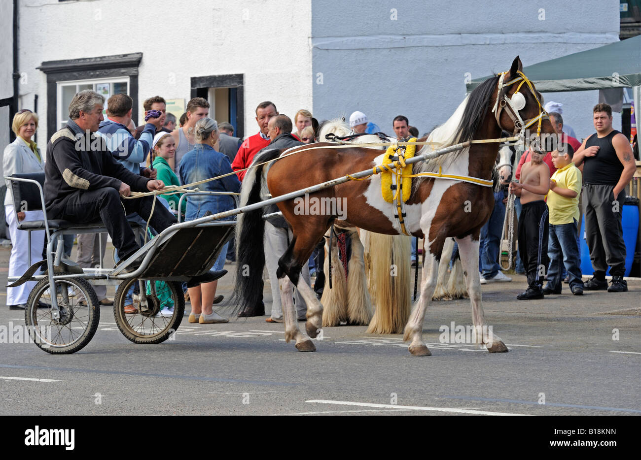 Gypsy travellers with trotting horse and trap. Appleby Horse Fair. Appleby-in-Westmorland, Cumbria, England, United Kingdom. Stock Photo