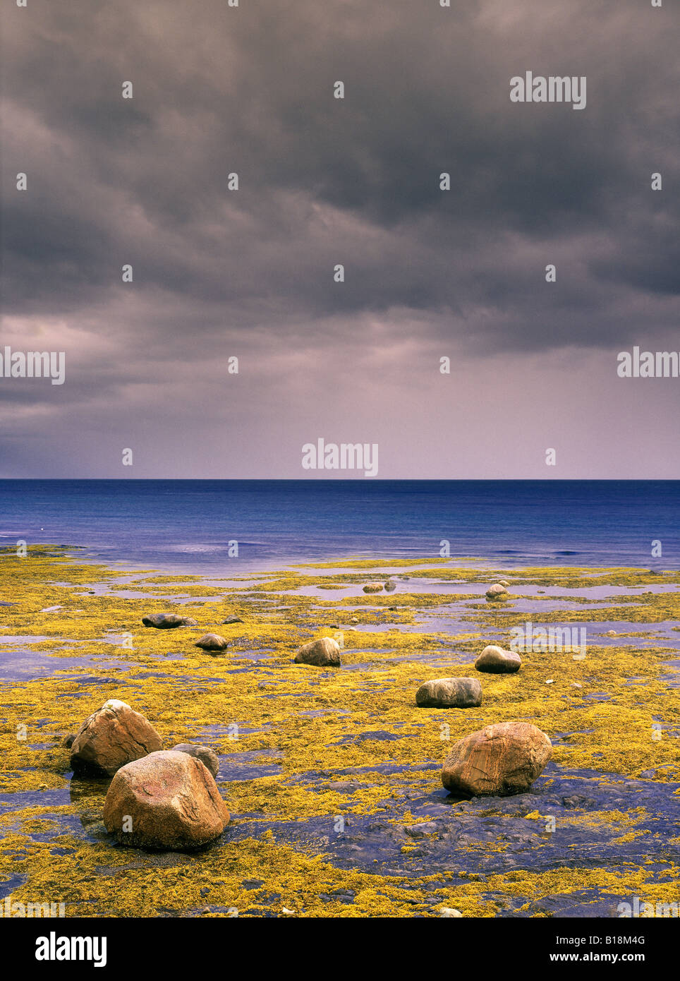 Bonne Bay, Rocky Harbour, Newfoundland, Canada Stock Photo Alamy