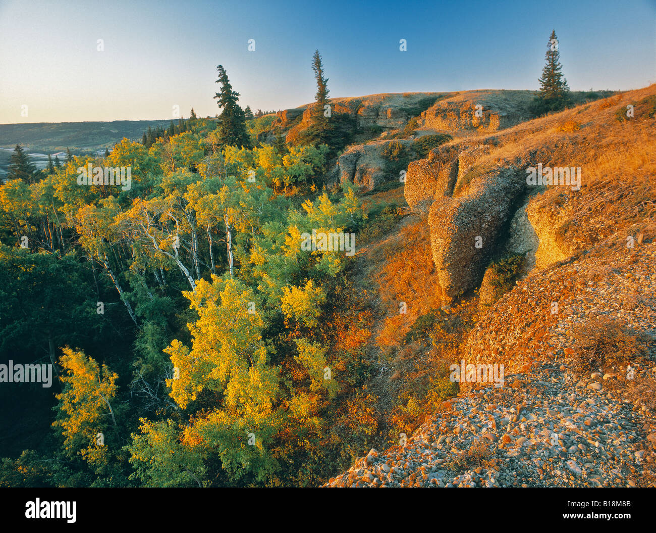 Conglomerate Cliffs, Cypress Hills Interprovincial Park, Saskatchewan