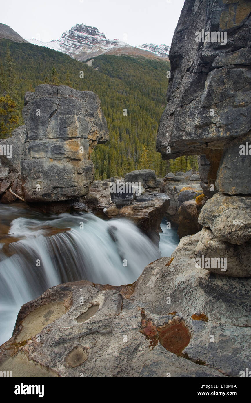 Nigel Creek above Panther Falls, Banff National Park, Alberta, Canada