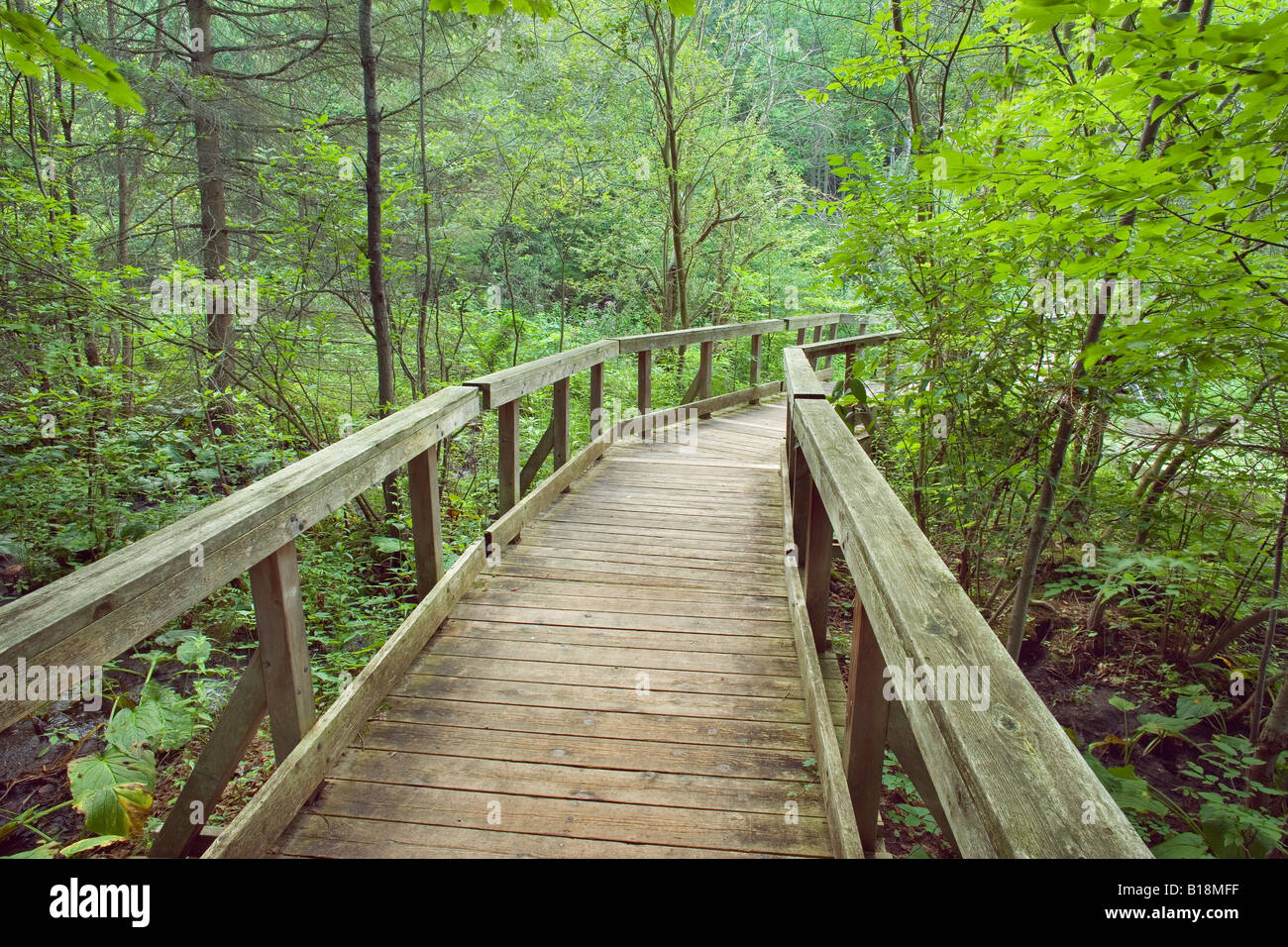 Boardwalk at St. John's Conservation Area, St. John's, Ontario, Canada