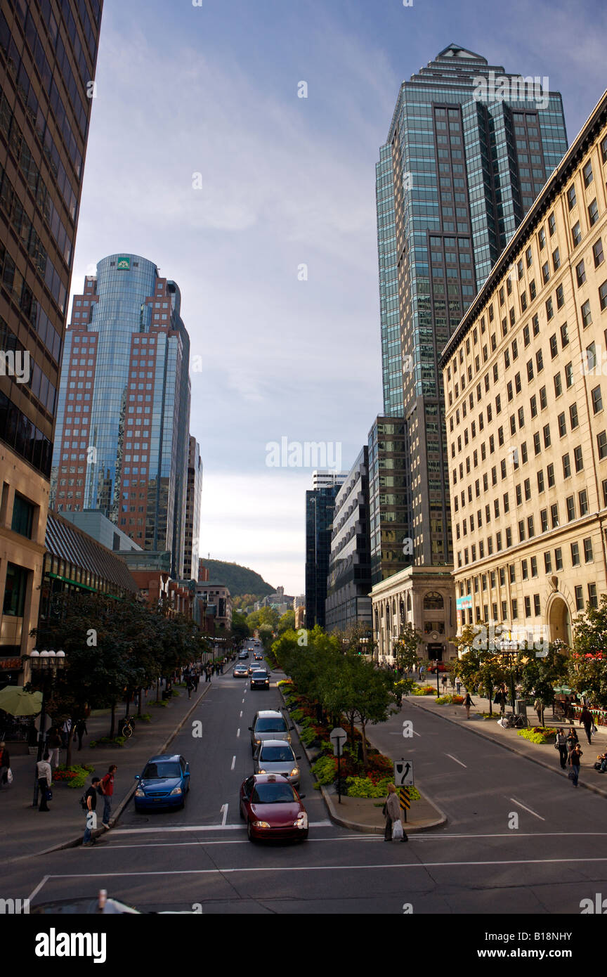 Looking north on Ave McGill College from the terrace of Place Ville