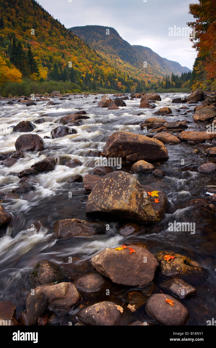 Rapids along Riviere JacquesCartier, Jacques Cartier River in Parc de
