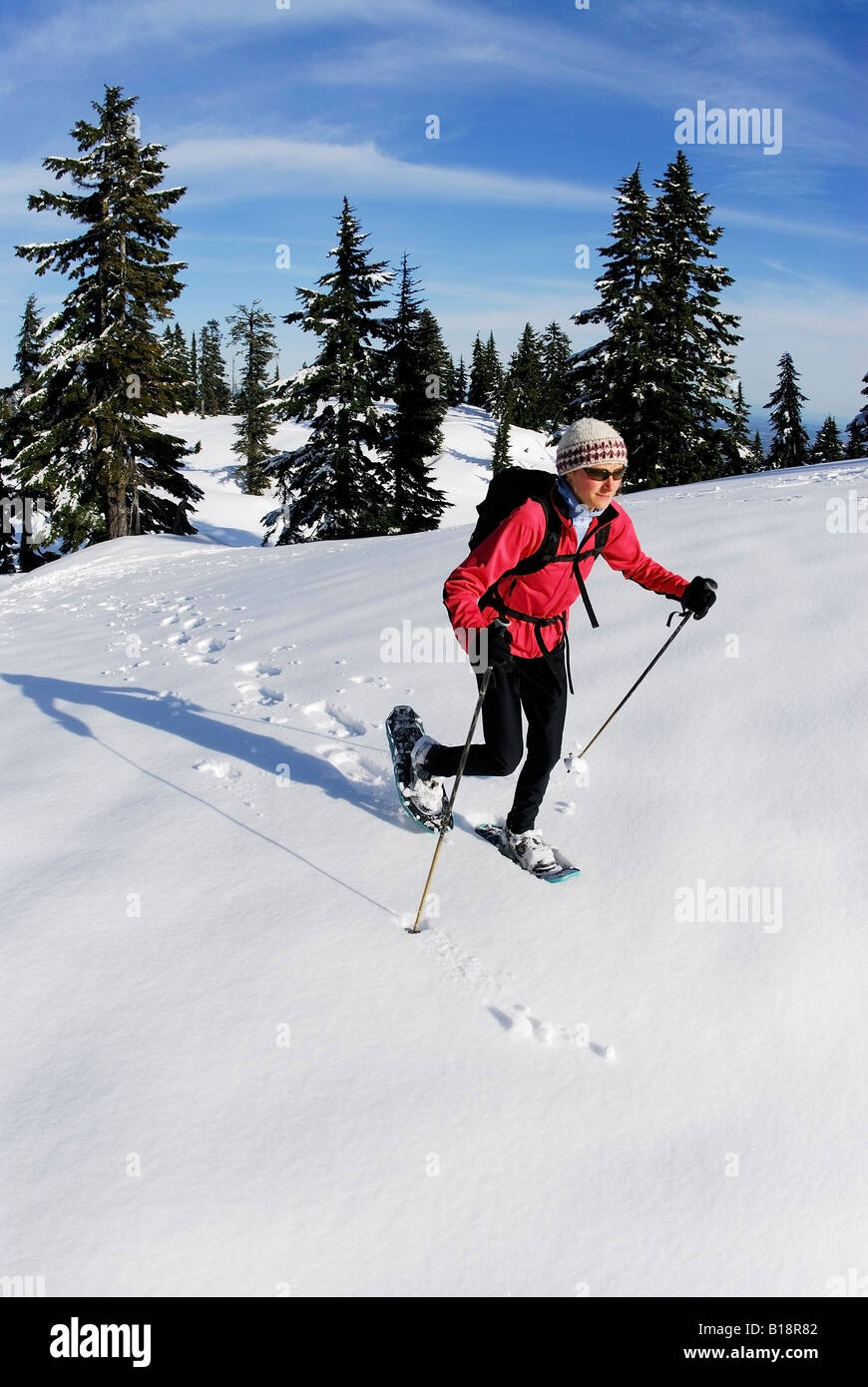 Snowshoeing on Hollyburn Mountain, Cypress Provincial Park, West