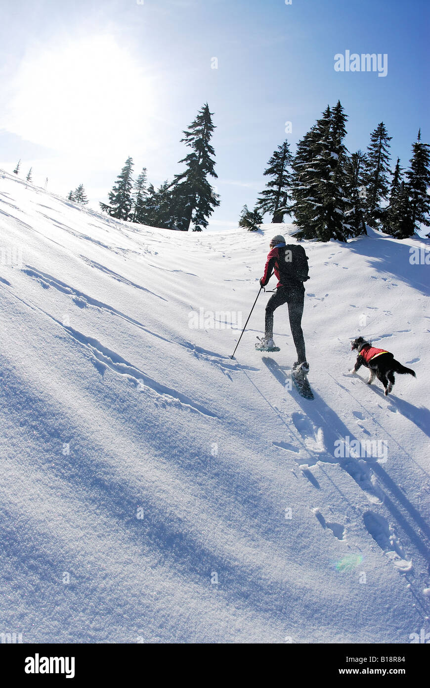 Snowshoeing on Hollyburn Mountain, Cypress Provincial Park, West