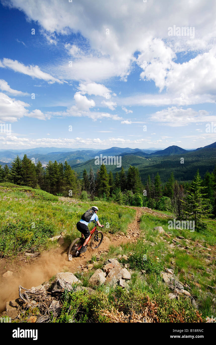 Man mountain biking on Oasis, Rossland, British Columbia, Canada Stock