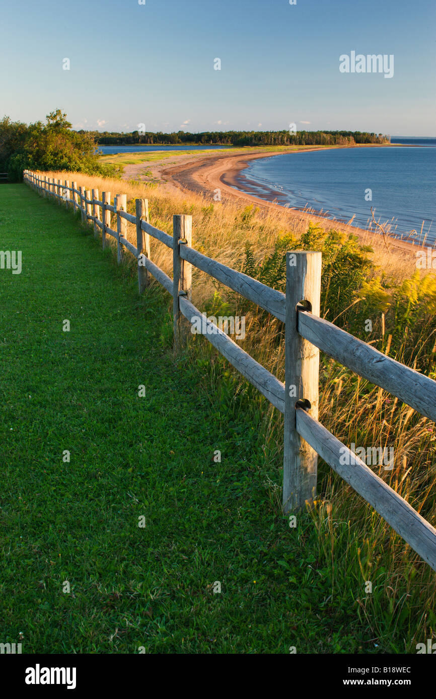 Caribou-Munroes Island Prov Park Nova Scotia, Canada Stock Photo - Alamy