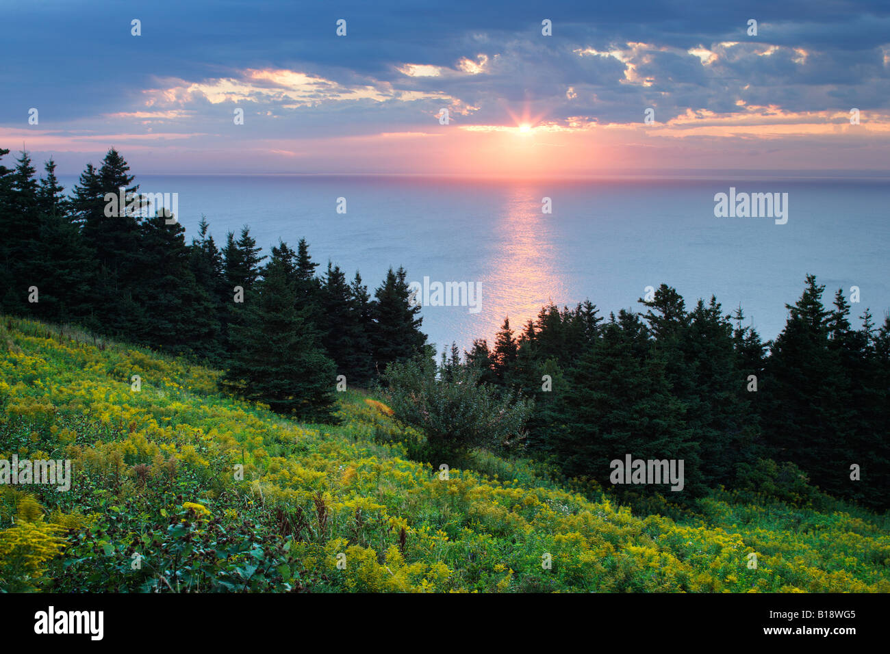 Cape Point Nova Scotia, Canada Stock Photo Alamy