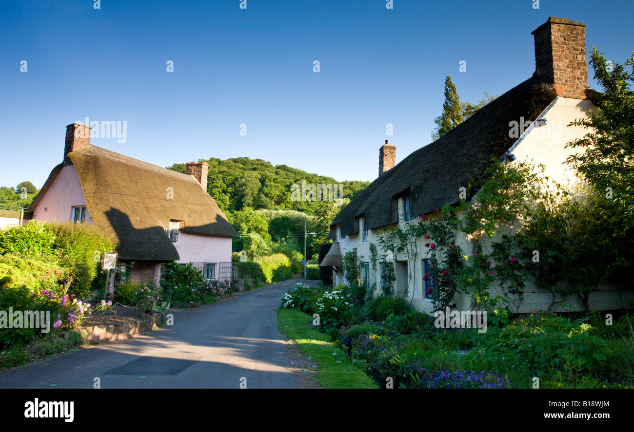 Thatched cottages in the medieval village of Dunster Exmoor National