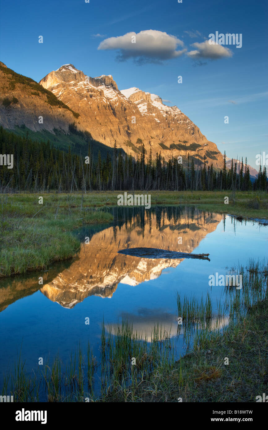 Mount Wilson at Graveyard Flats Banff National Park Alberta, Canada