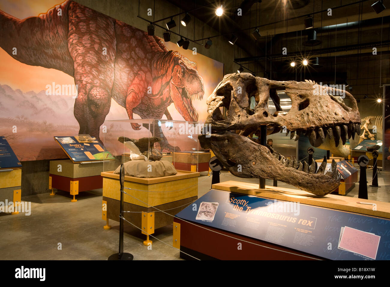 Inside the T-rex Discovery Centre, Eastend, Saskatchewan, Canada. Stock Photo
