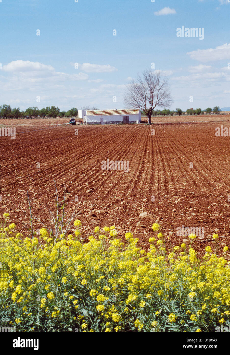 Arado de la agricultura de campo hi-res stock photography and images ...