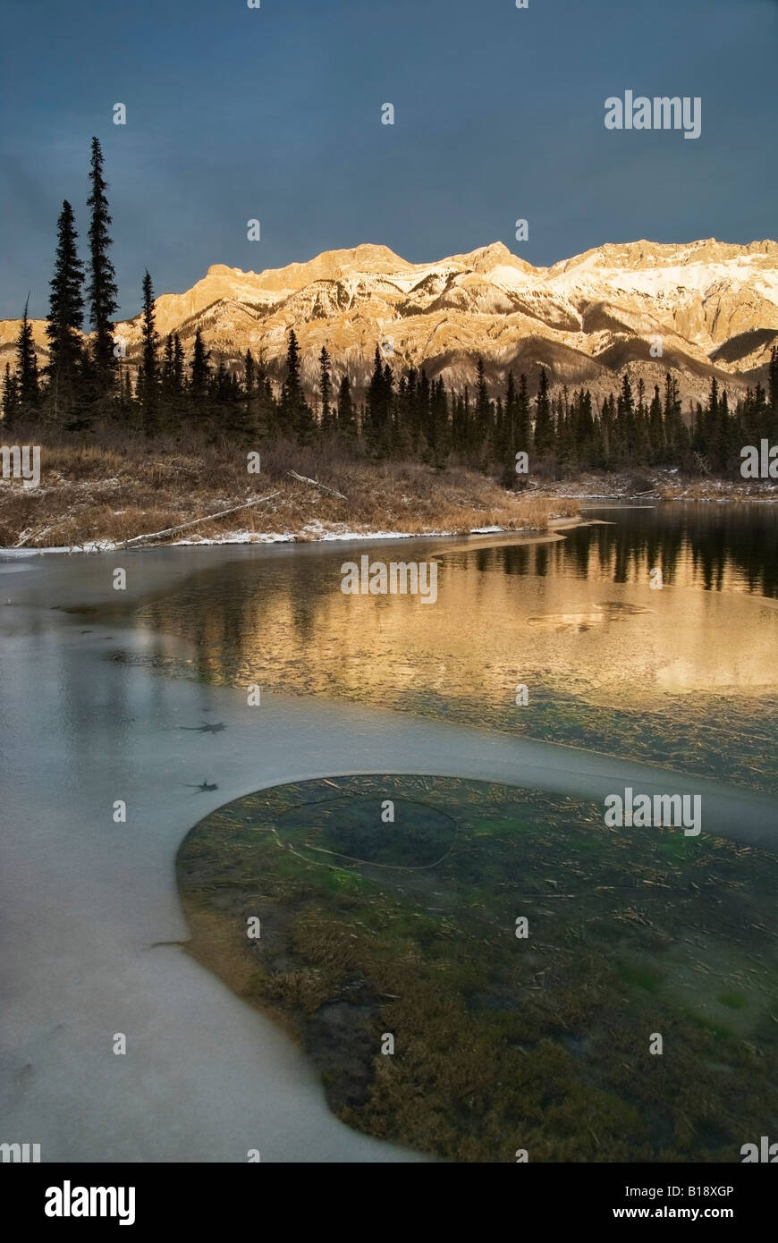 Hot Un Stock >> Miette Range Un Named Hot Spring Jasper National Park Alberta Hot Un Stock >> Miette Range Un Named Hot Spring Jasper National Park Alberta