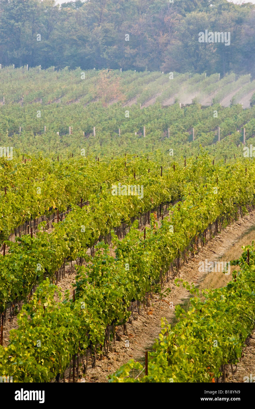 Jordan winery hires stock photography and images Alamy