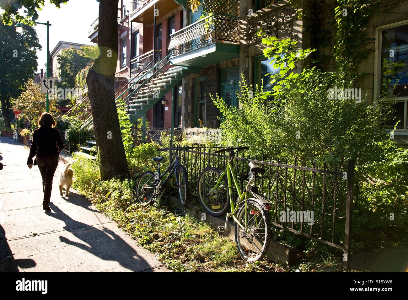 Typical 'brownstone' house in Fairmont district, Montreal, Canada. Stock Photo