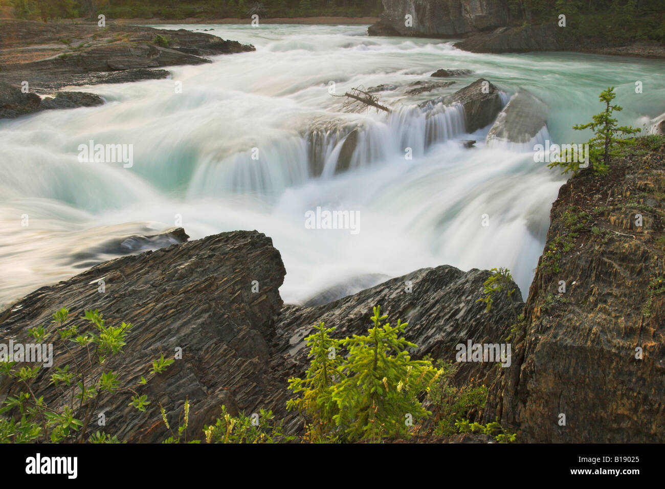 A rushing river in Yoho National Park, British Columbia, Canada. Stock Photo