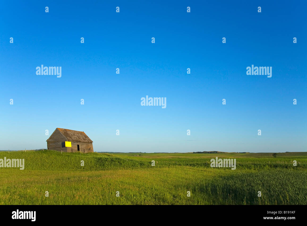Old farm shed, North Dakota, USA Stock Photo Alamy