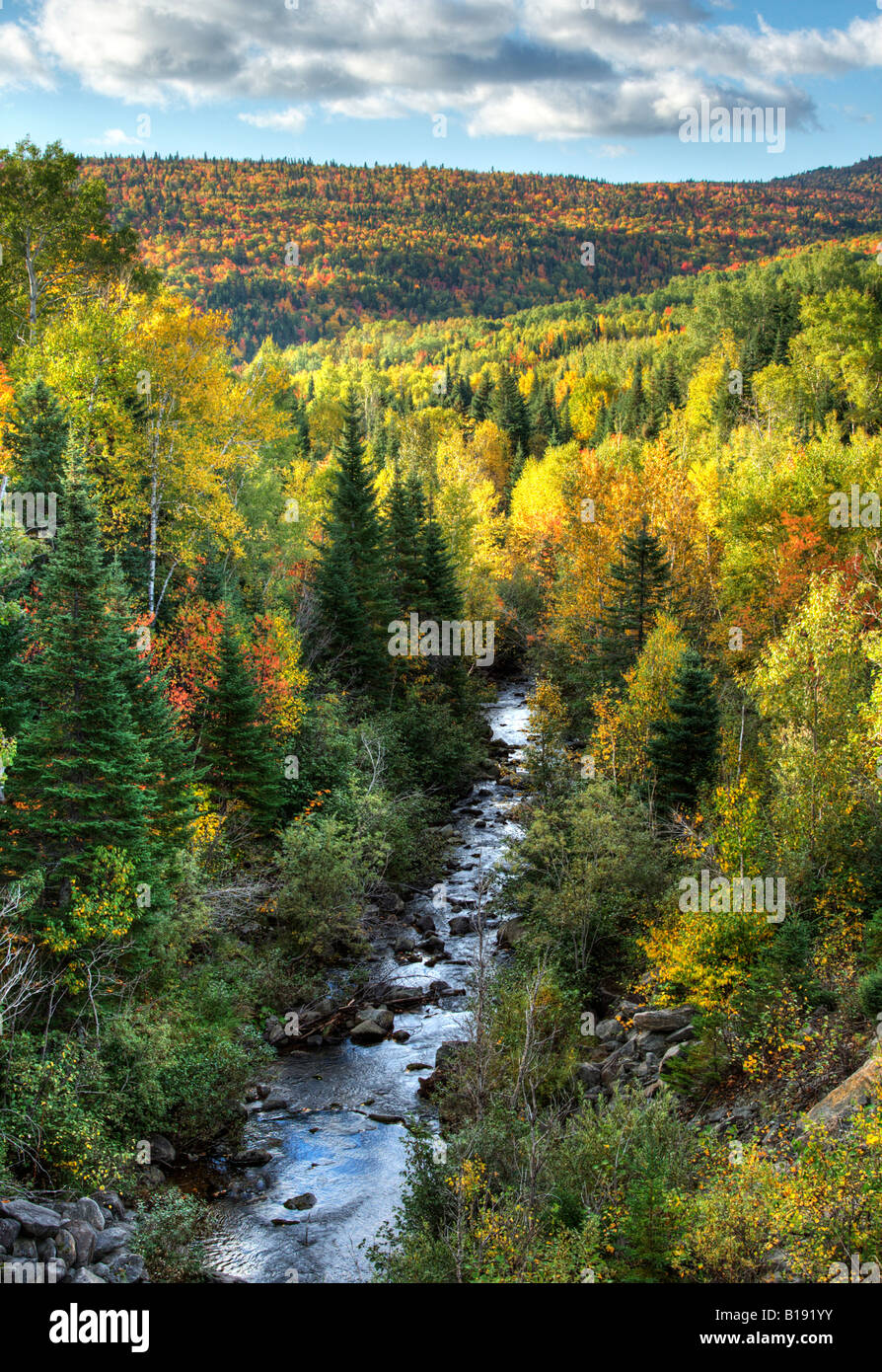 Small river surrounded by mountains and forest in fall foliage, Petite