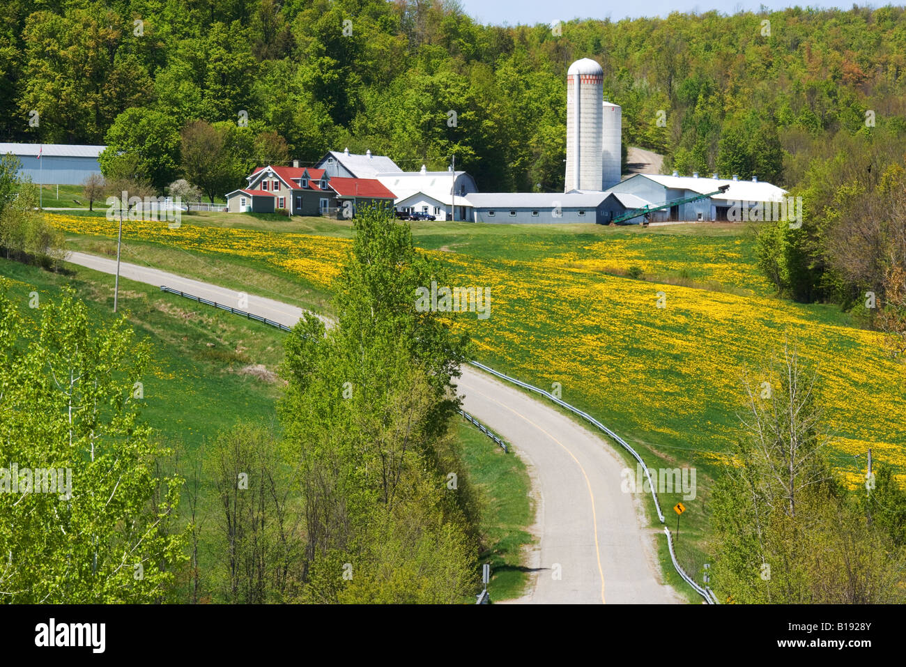 Farm, Roxton, Eastern Townships, Quebec, Canada Stock Photo Alamy