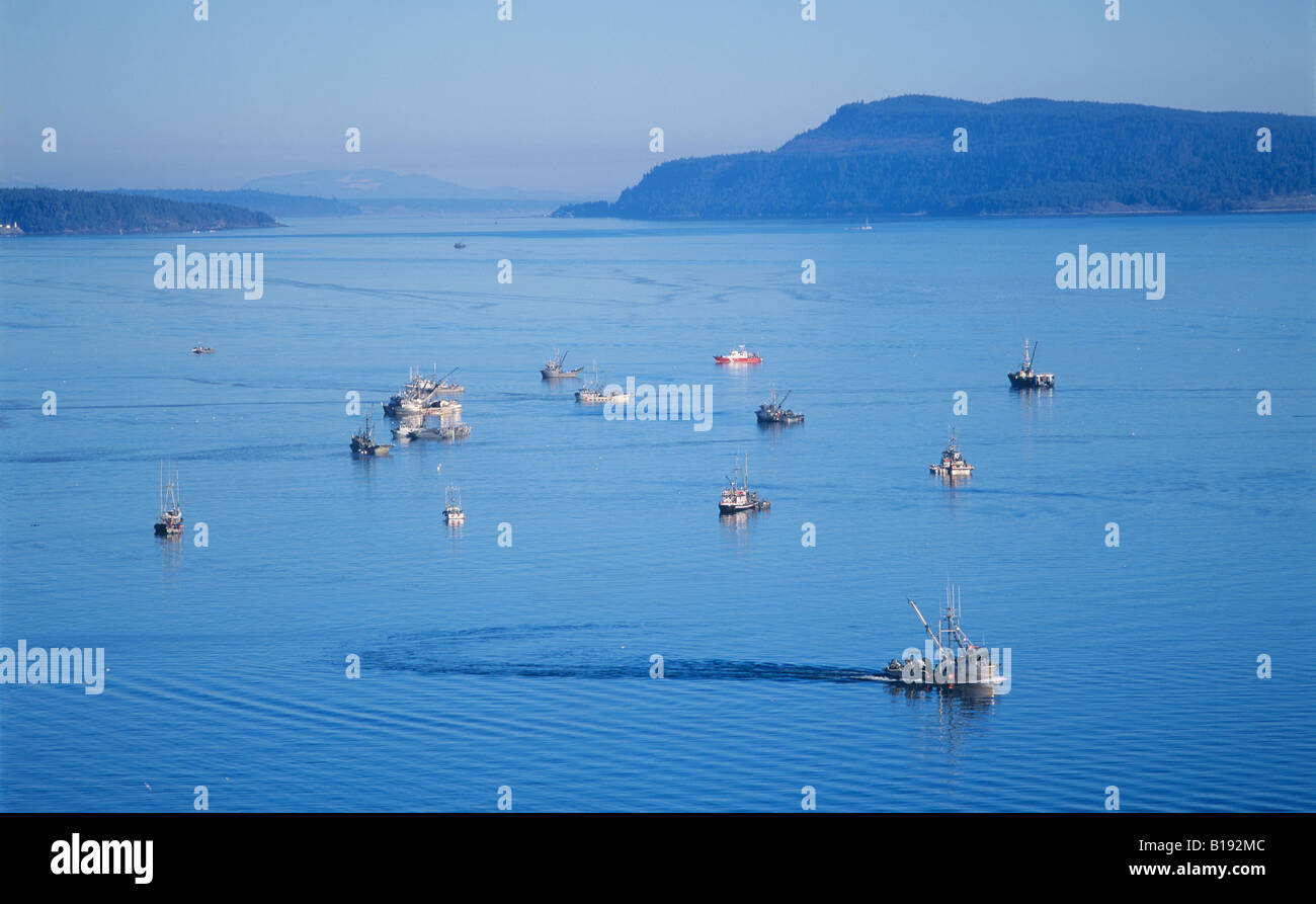 Fishing boats fishing for Herring off Denman Island, British Columbia, Canada. Stock Photo