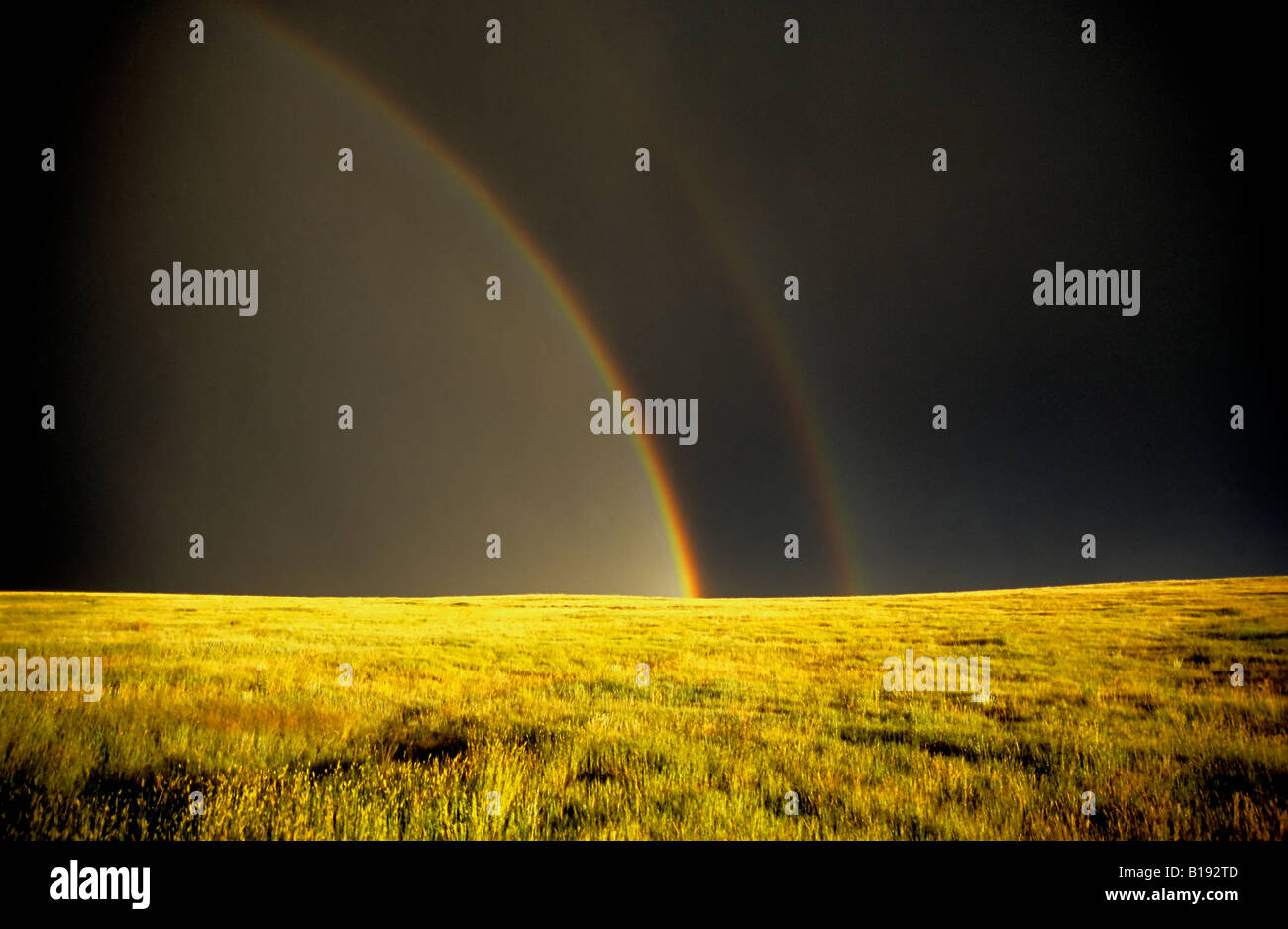 Two-tiered rainbow trailing a prairie thunderstorm, Alberta, Canada. Stock Photo