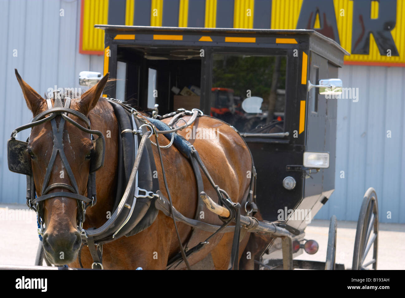 ILLINOIS Arthur Amish horse and buggy tied to hitching post outside