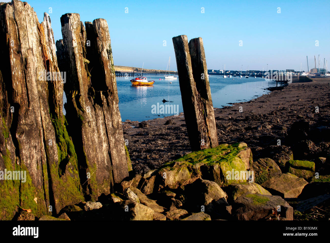 Amble, Northumberland, England Stock Photo Alamy
