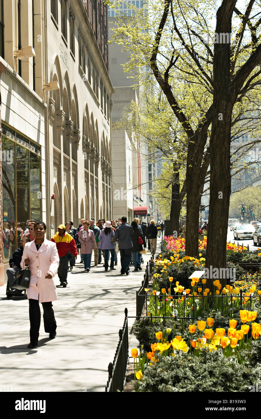 STREET SCENE Chicago Illinois Shoppers on Michigan Avenue sidewalk