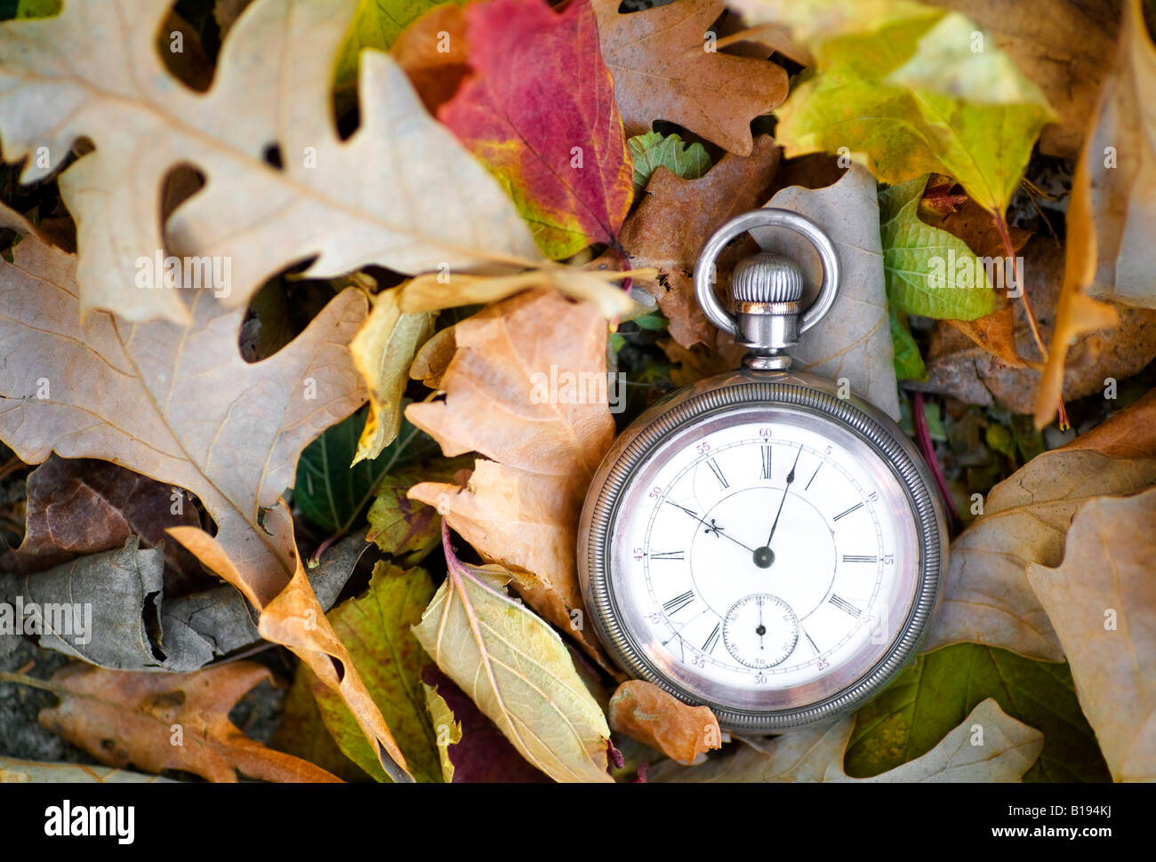 Pocket watch on autumn leaves Stock Photo