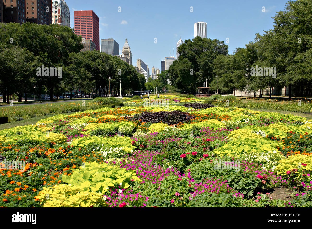GARDENS Chicago Illinois Grant Park flower gardens city skyline