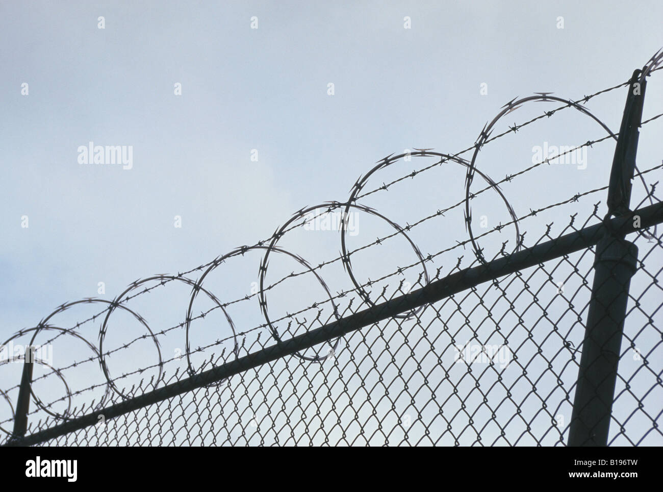 barbed wire on fence Stock Photo Alamy