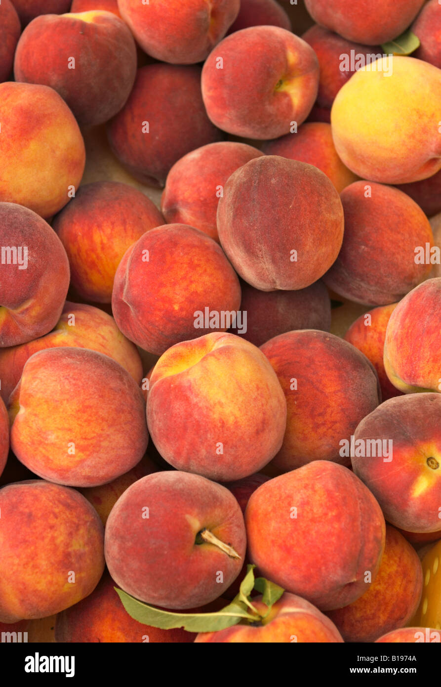 FRUIT Chicago Illinois Ripe peaches displayed at Green City organic