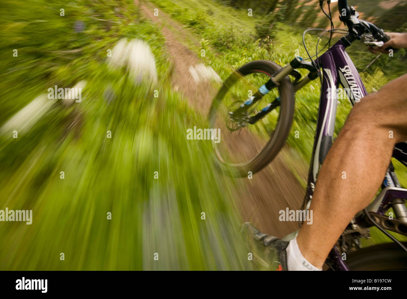 Riding single track, Taylor Basin, Southern Chilcotin mountains, British Columbia, Canada Stock Photo
