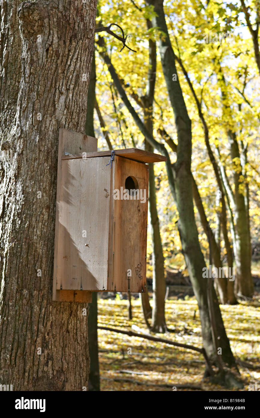 Wooden duck house hires stock photography and images Alamy