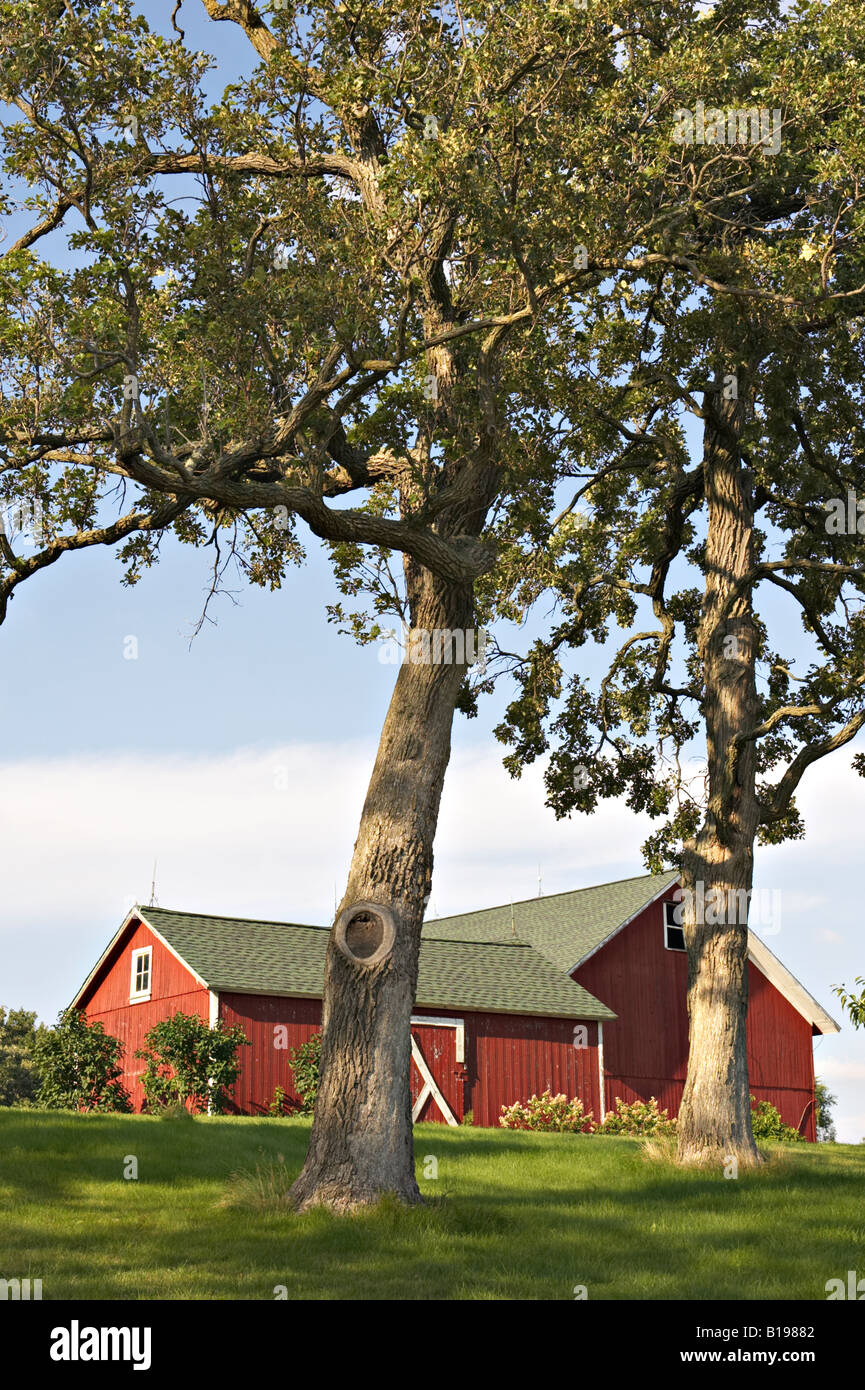 WISCONSIN Near Lake Geneva colorful red barn with white trim with two