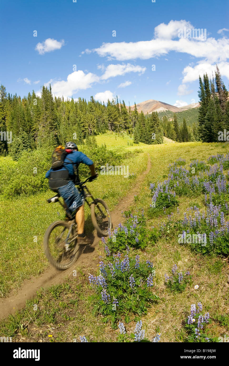 Mountain biker rides the trail up to Deer Pass, Southern Chilcotin ...